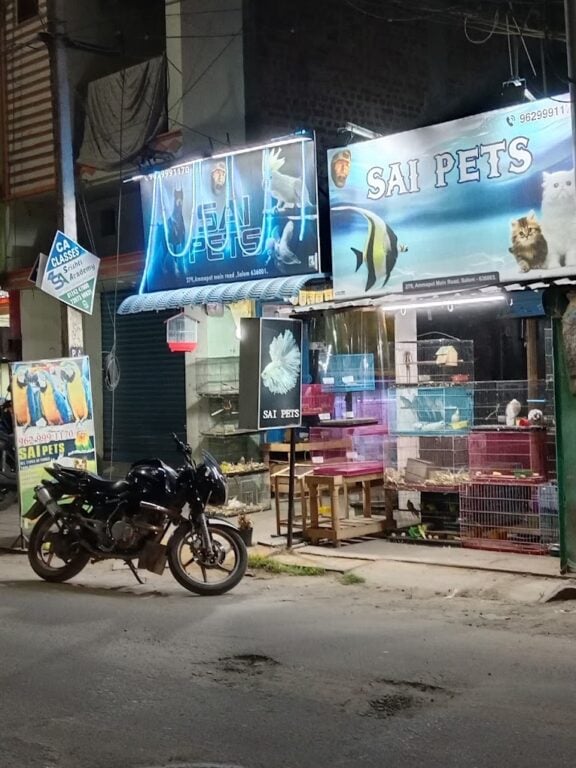 SAI PETS Reviews Phone No. Address